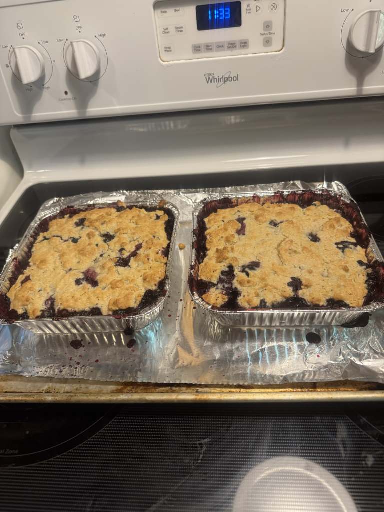 highlands nc blueberry rv camp, Peaceful Blueberry Farm Harvest Host Near Highlands NC: Quiet Country Road U‑Pick RV Stay
