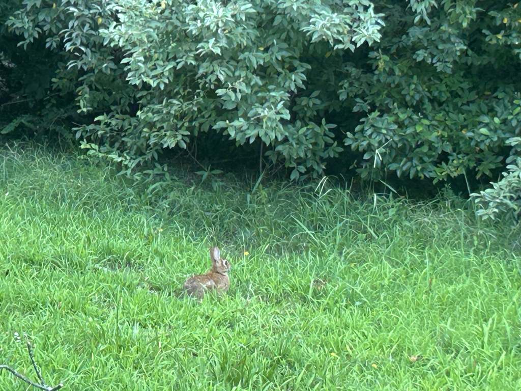 , Whitetail RV Park Fort A.P. Hill MWR: Best Kept Secret for Military RV Travelers and Hunters