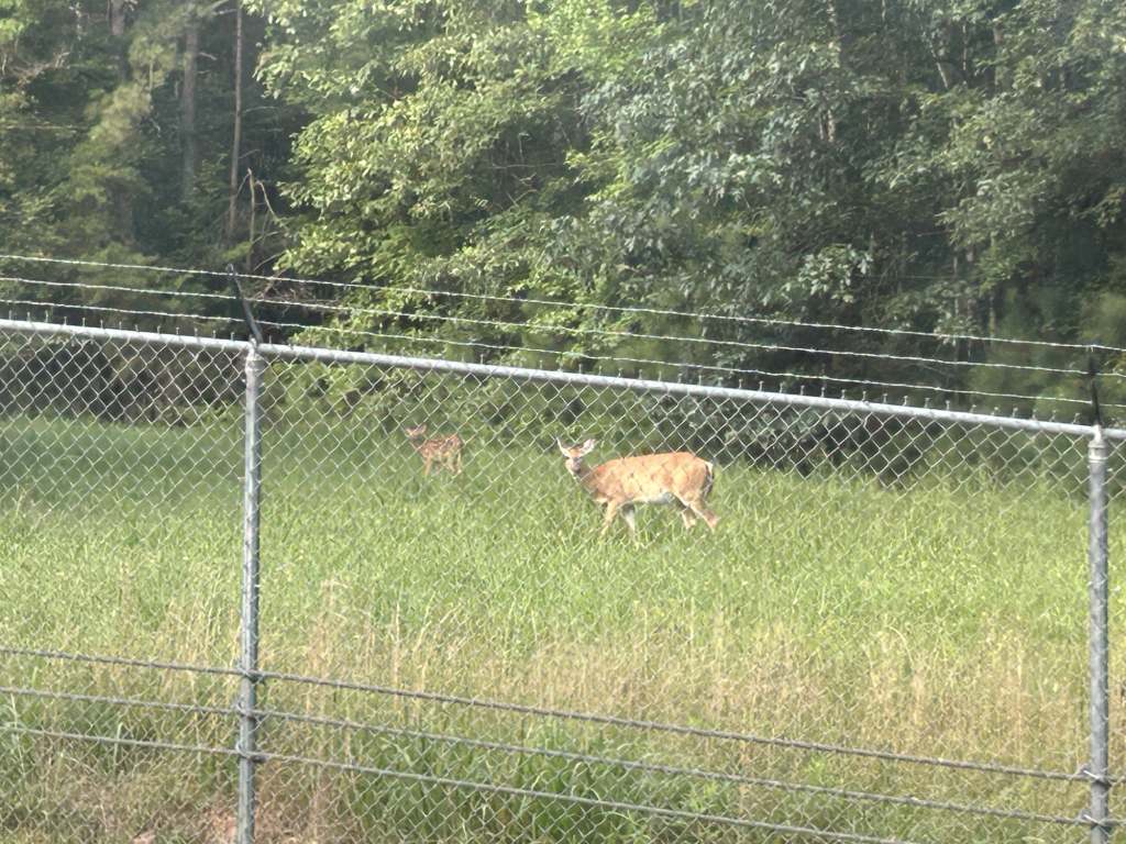 , Whitetail RV Park Fort A.P. Hill MWR: Best Kept Secret for Military RV Travelers and Hunters