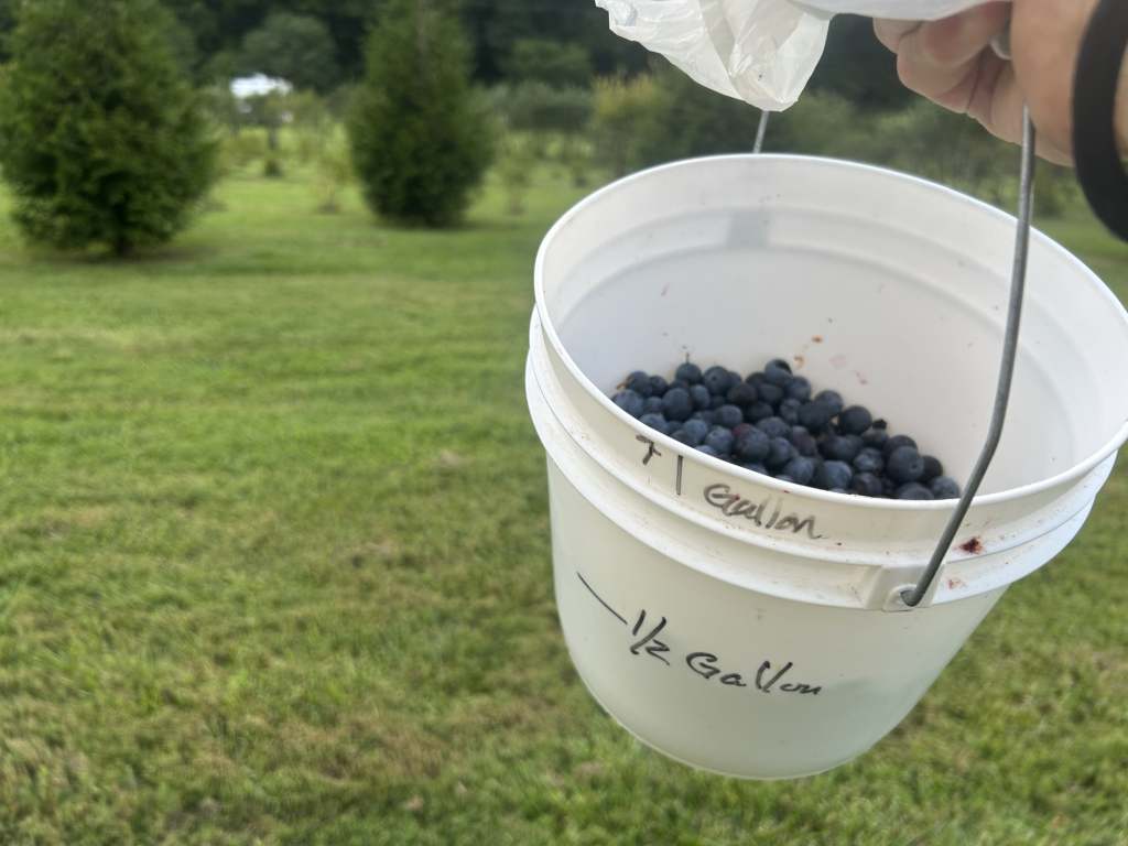 highlands nc blueberry rv camp, Peaceful Blueberry Farm Harvest Host Near Highlands NC: Quiet Country Road U‑Pick RV Stay