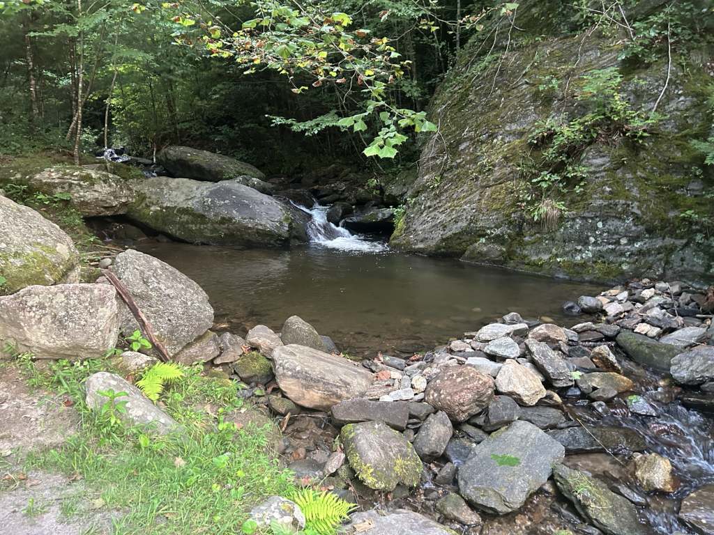 highlands nc blueberry rv camp, Peaceful Blueberry Farm Harvest Host Near Highlands NC: Quiet Country Road U‑Pick RV Stay