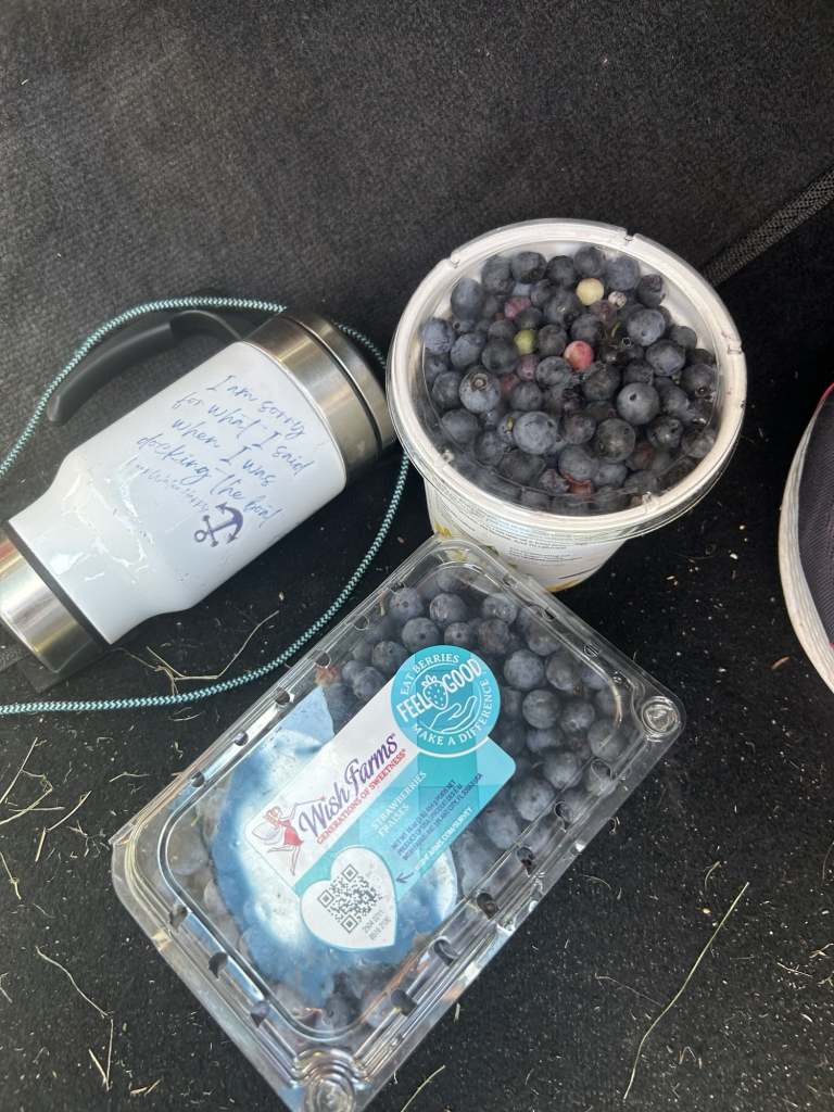 highlands nc blueberry rv camp, Peaceful Blueberry Farm Harvest Host Near Highlands NC: Quiet Country Road U‑Pick RV Stay