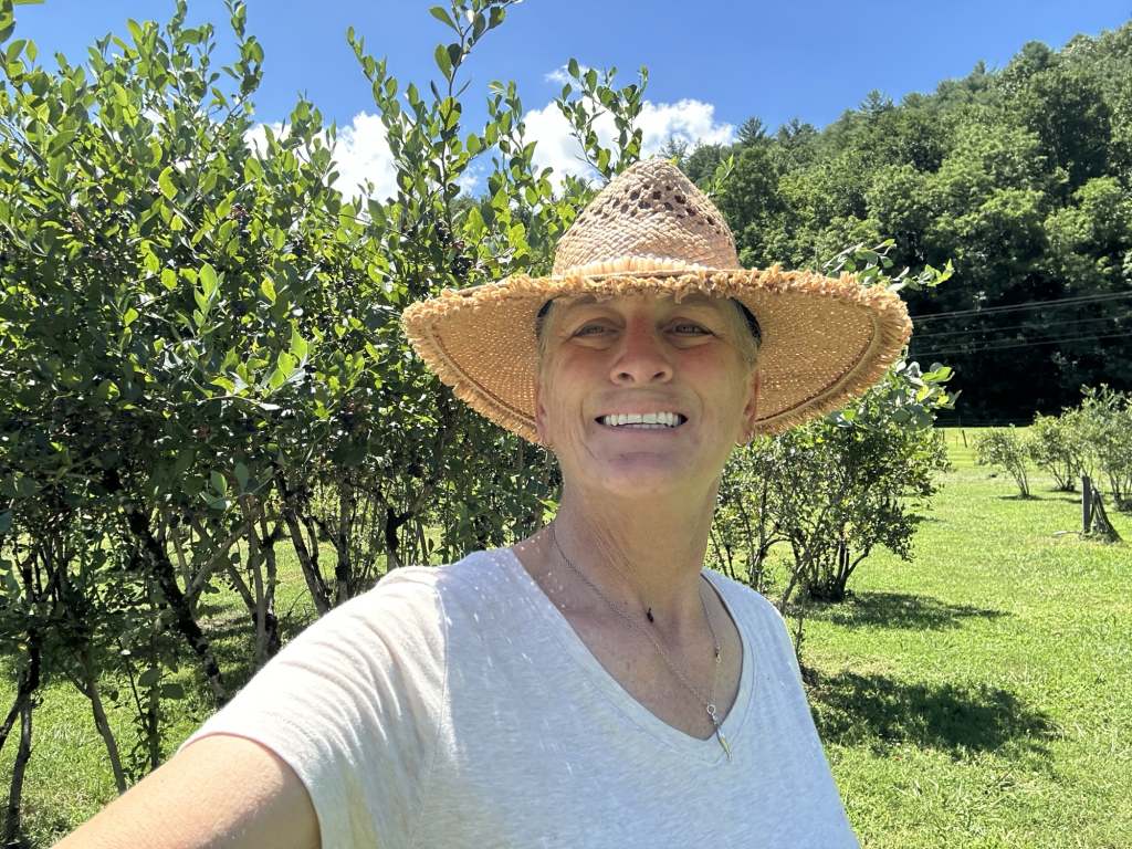 highlands nc blueberry rv camp, Peaceful Blueberry Farm Harvest Host Near Highlands NC: Quiet Country Road U‑Pick RV Stay